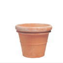 イタリア陶器・植木鉢・リムポット60