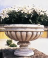 イタリア石造植木鉢　カッシア