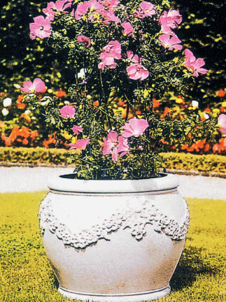 エネア花鉢