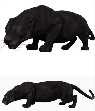 黒豹