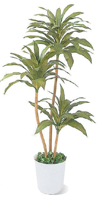 人工観葉植物 ドラセナ 1.8Ｍ・鉢付き